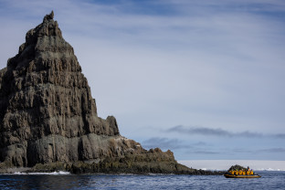 极南地区的企鹅: 福克兰群岛、南乔治亚岛、南极大陆
