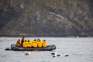 极南地区的企鹅: 福克兰群岛、南乔治亚岛、南极大陆