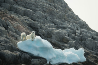 Monumental Island, Canada