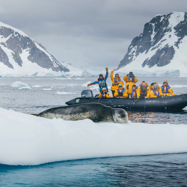 南极半岛 (Antarctic Peninsula)