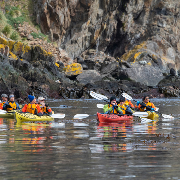 南乔治亚岛 (South Georgia)