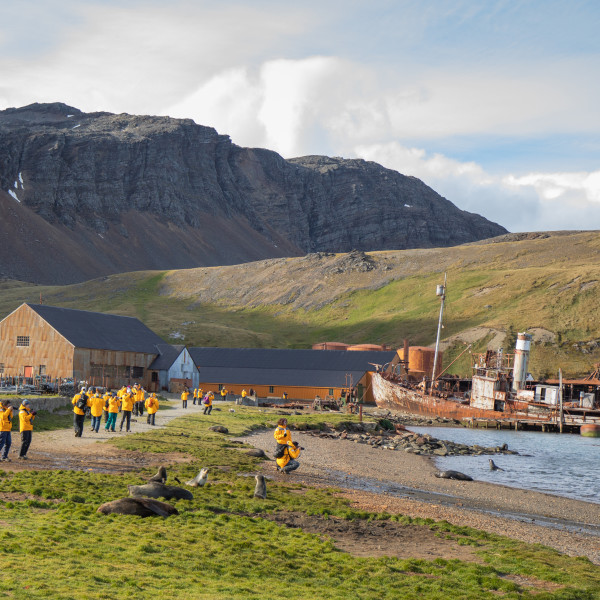 南乔治亚岛 (South Georgia)