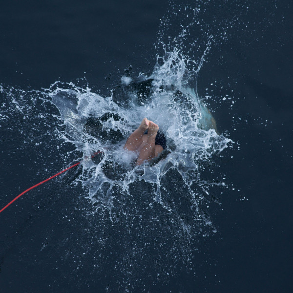 极地跳水 (Polar Plunge)