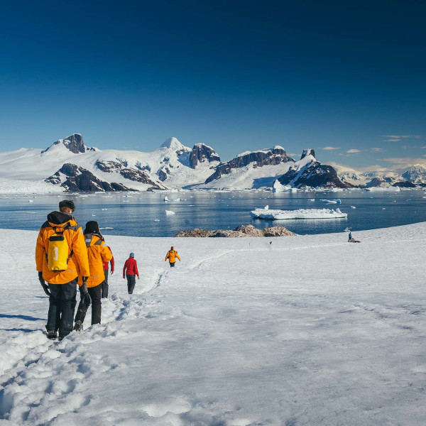 Passengers hiking in Antarctic Landscape