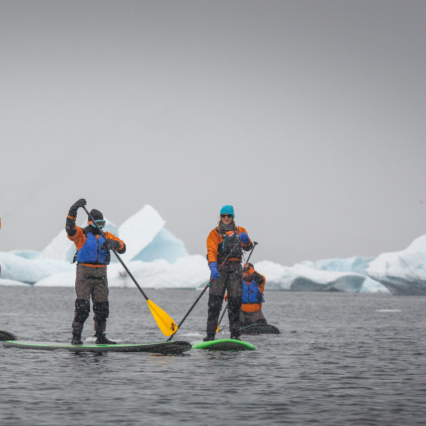 Passengers Stand-up Paddleboarding in the Antarctic