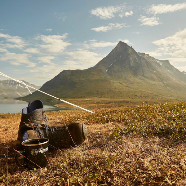 Greenland Camping Experience