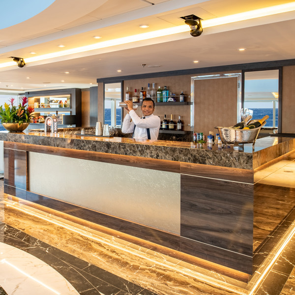 世界航海家号(World Voyager)