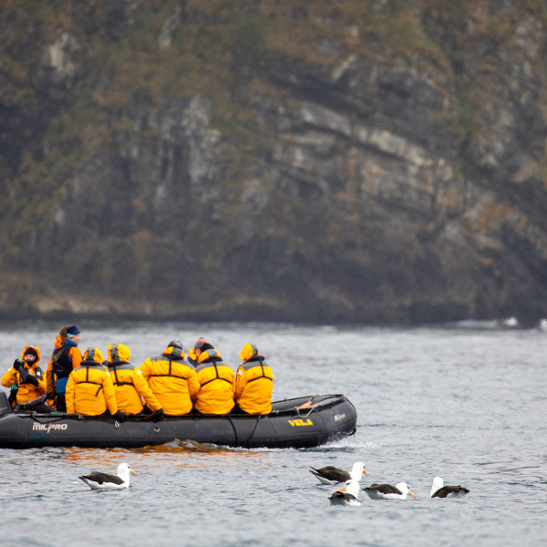 橡皮艇巡航 (Zodiac Cruising)