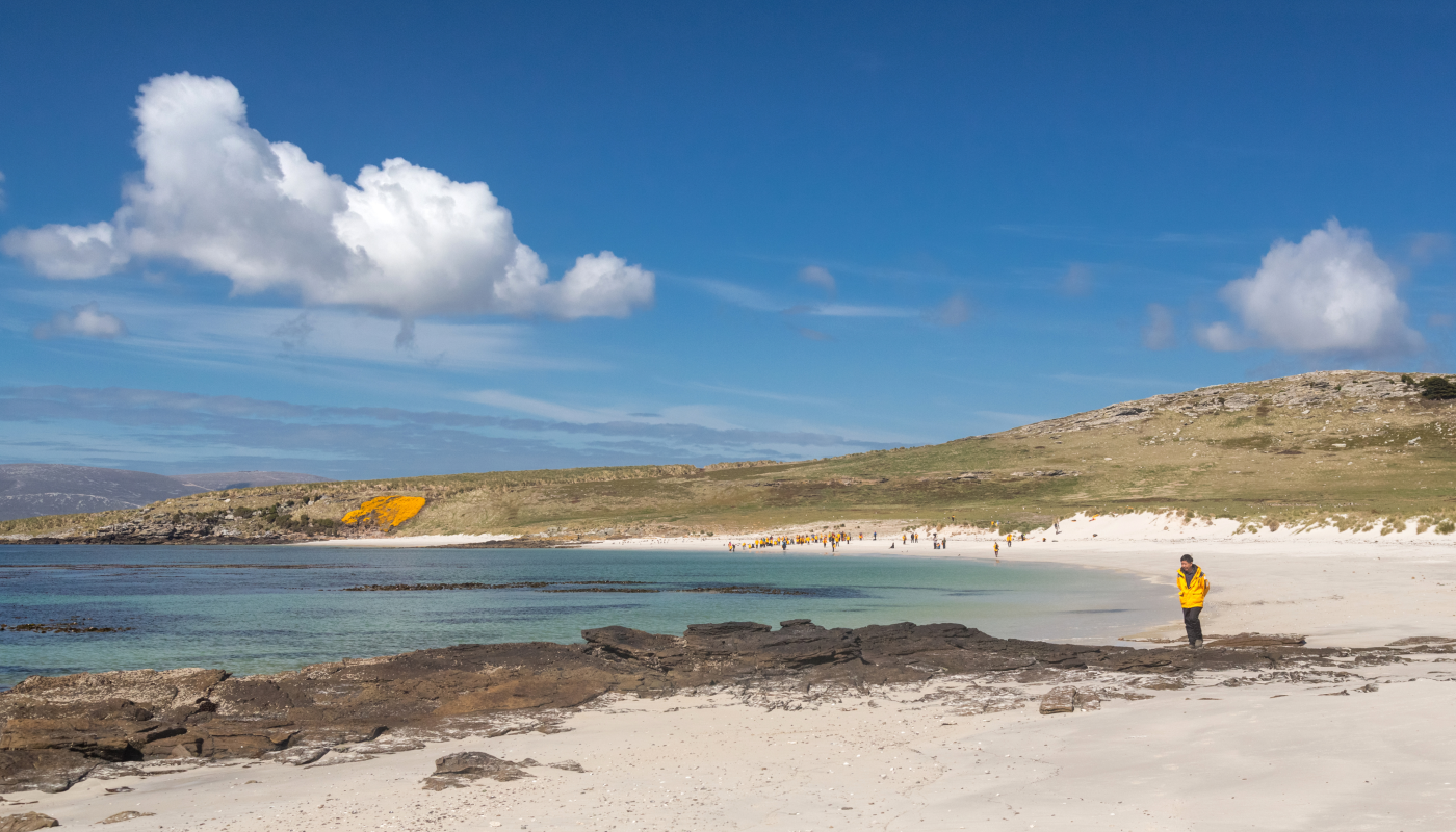 福克兰群岛（Falkland Islands）